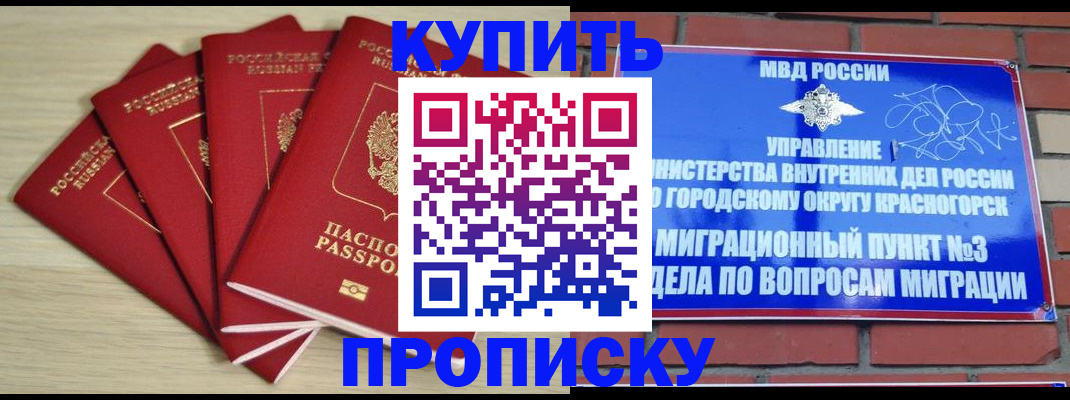 пропишу в квартире в Куровском